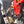 Woodcraft 848/1098/1198 with shift pedal Black: Ducati - Tacticalmindz.com